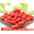 Mispel Health Food Himalayan Goji Beere